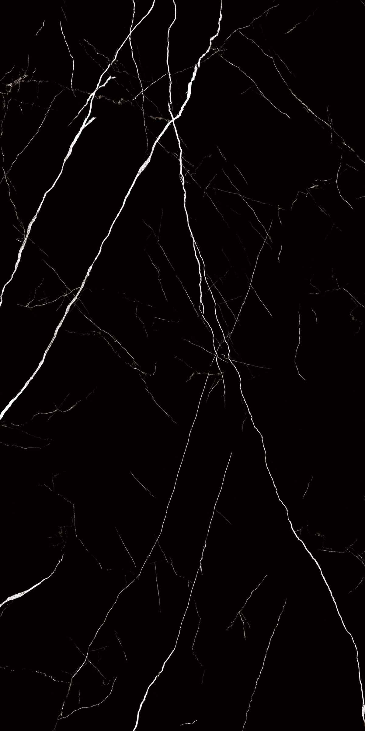 ROYAL BLACK MARQUINA