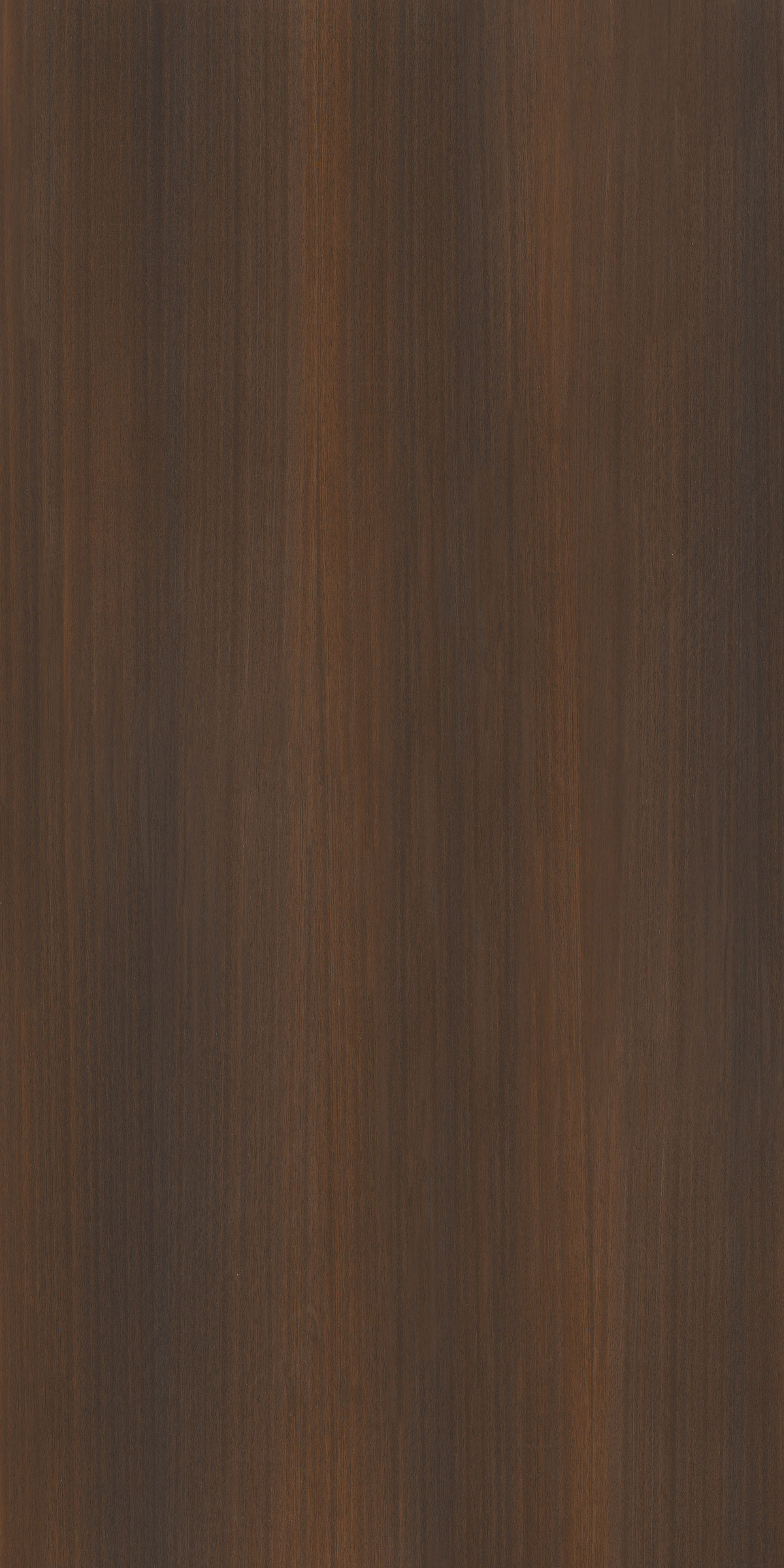 ASCORT WENGE